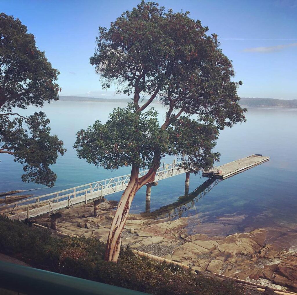 View from Inn at the Sea Ladysmith
