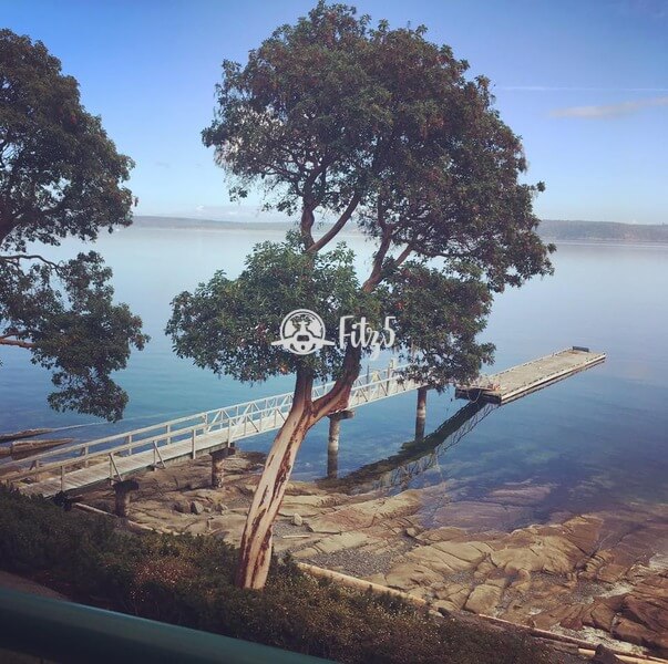Calm Waters in Ladysmith Canada - Fitz 5 on the go