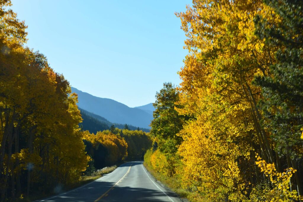 Colorado Fall Drive