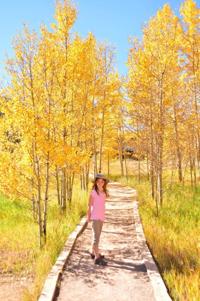 Ashcroft Aspens