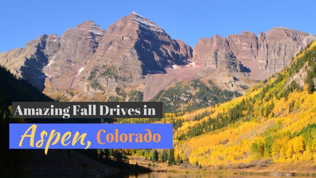 Aspen in the fall