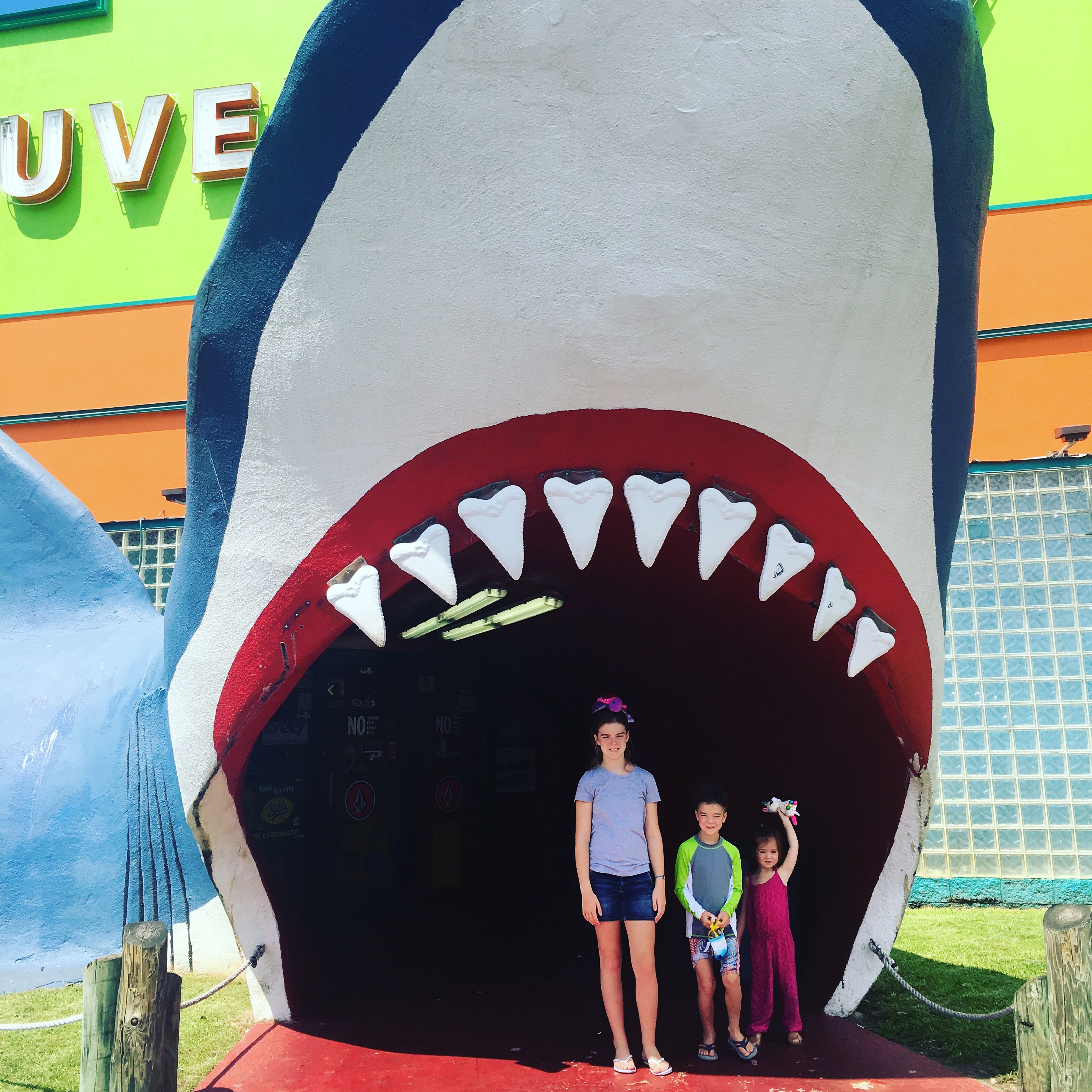 souvenir city shark